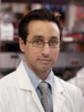 Dr. Stephen Di Martino, MD