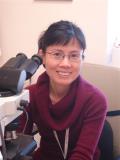 Dr. Mai Gu, MD